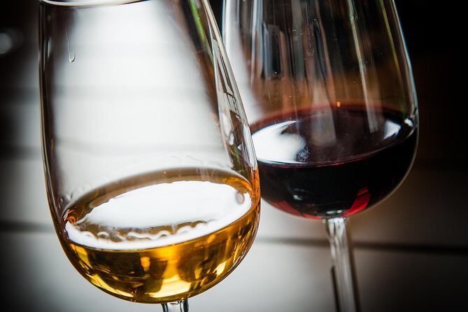 Boutique Winery Experience in the Fredericksburg Texas Hill Country - Who Should Consider This Tour?