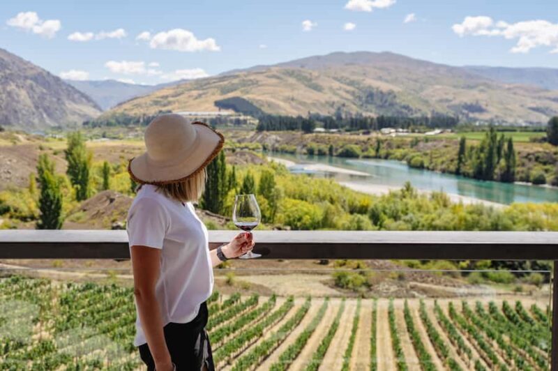 Boutique Winery Half-Day Tour & Vineyard Platter-Style Lunch - Discovering Central Otago’s Wine Scene