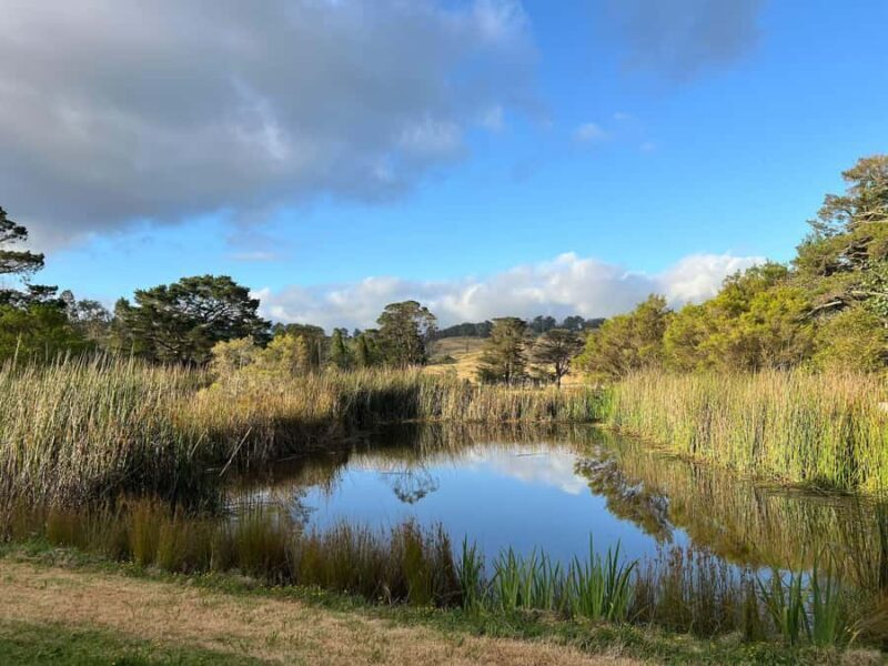 Bowral Honey Farm Tour, Honey Tasting & morning Tea - Who Is This Tour Best Suited For?