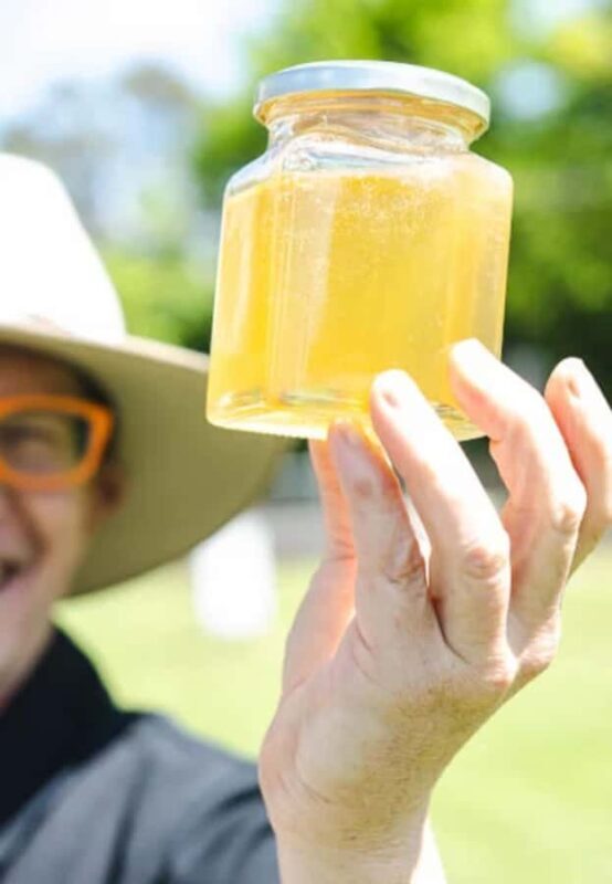 Bowral: Honey Tasting and Hive Opening with Morning Tea - A Closer Look at the Bowral Honey Experience