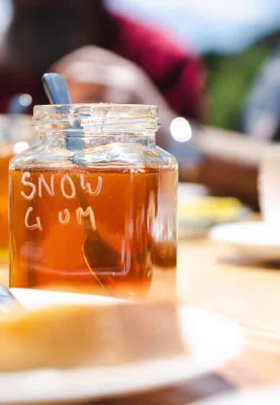 Bowral: Honey Tasting and Hive Opening with Morning Tea - Who Should Consider This Experience?