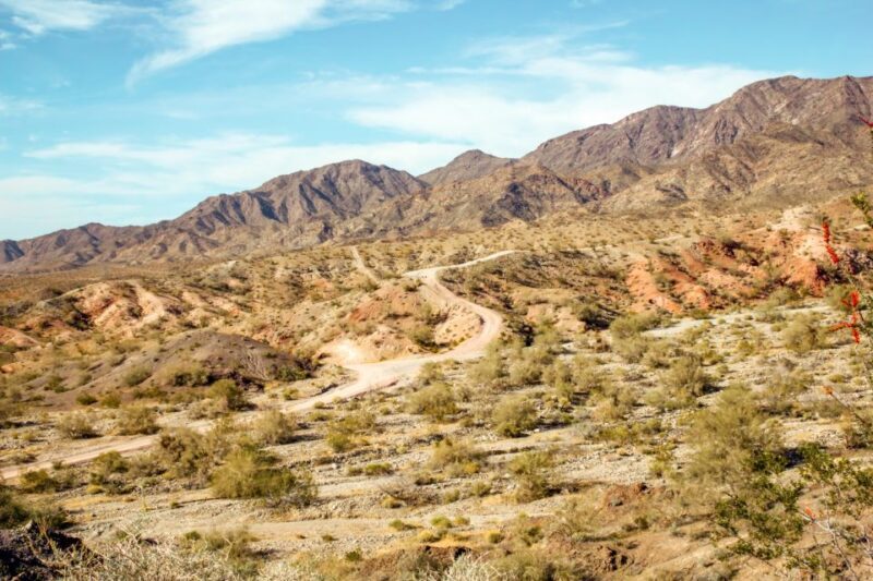 Box Canyon and Pinal Mountains Half-Day ATV Tour - Key Points