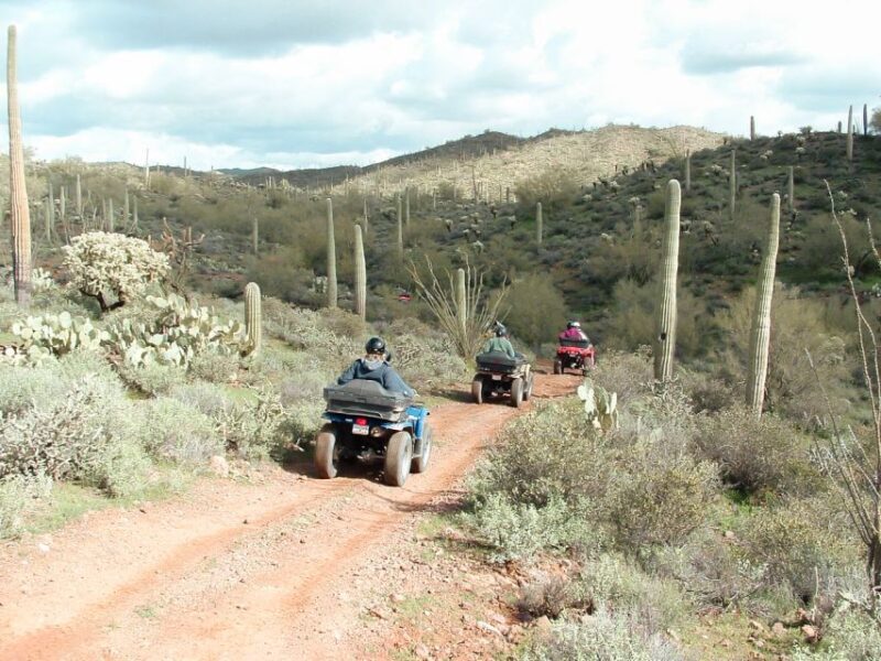 Box Canyon and Pinal Mountains Half-Day ATV Tour - Why This Tour Offers Great Value