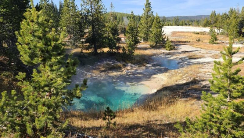 Bozeman: Yellowstone & Grand Teton National Park with Hotel - Key Points