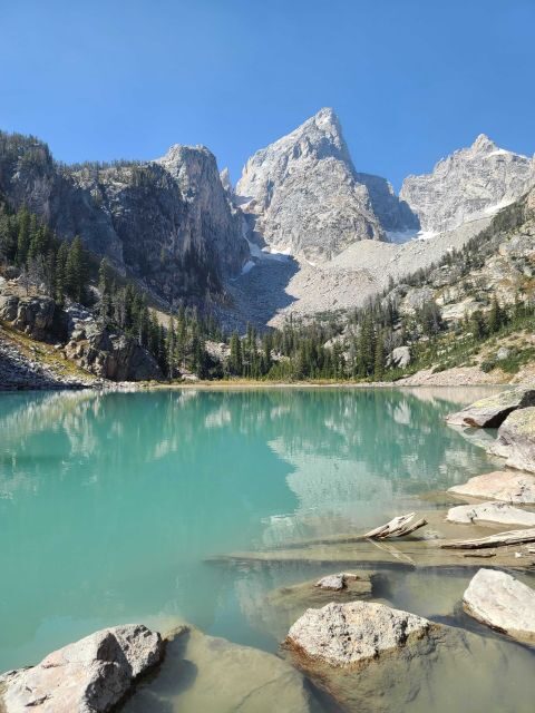 Bozeman: Yellowstone & Grand Teton National Park with Hotel - An Authentic Adventure through Yellowstone & Grand Teton