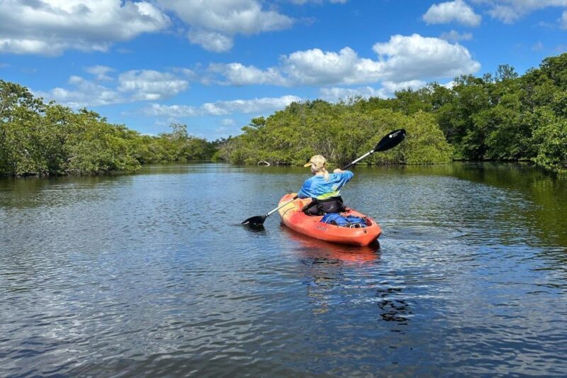 Bradenton: Anna Maria Island Guided Kayaking Manatee Tour - The Experience in Detail