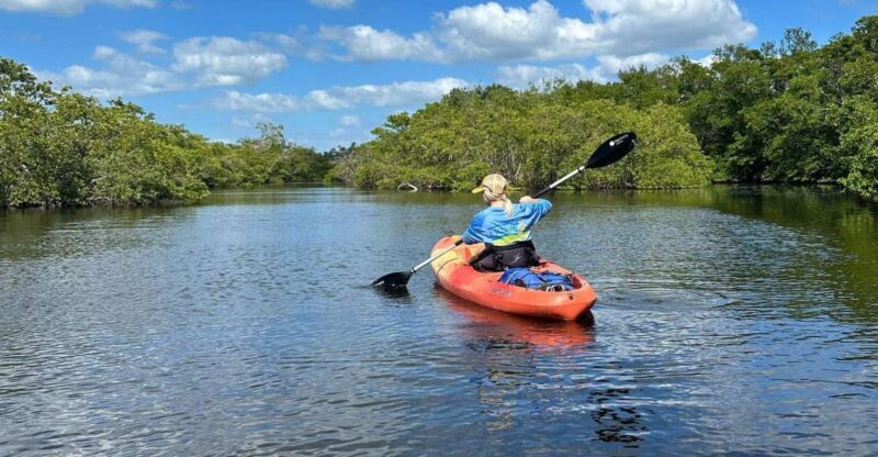 Bradenton: Anna Maria Island Guided Kayaking Manatee Tour - Similar Experiences