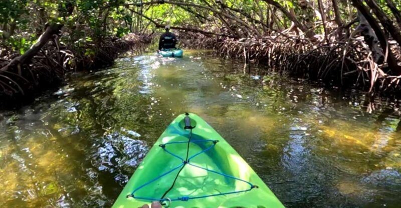 Bradenton: Guided Pedal Kayak Tour - An In-Depth Look at the Experience