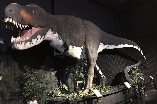 Branson Dinosaur Museum Admission Ticket - An In-Depth Look at the Branson Dinosaur Museum