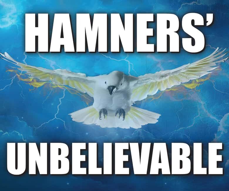 Branson: Hamners' Unbelievable New Year's Eve Extravaganza - Who Should Consider This Tour?