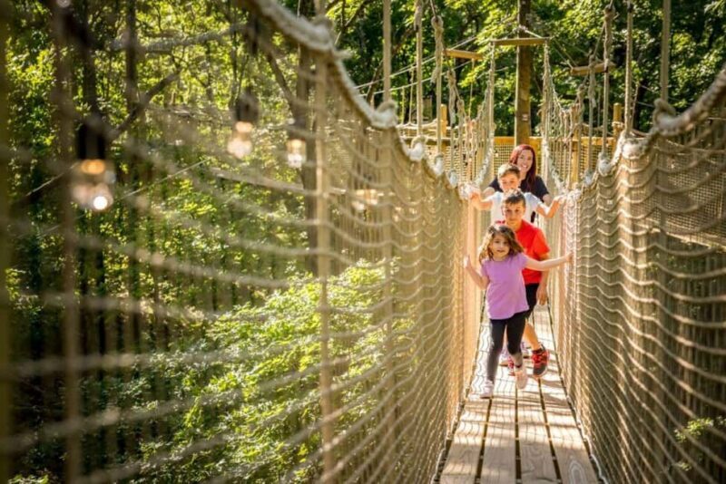 Branson: Shepherds Adventure Park Admission Ticket - The Practical Side: What to Expect and Tips for Visiting