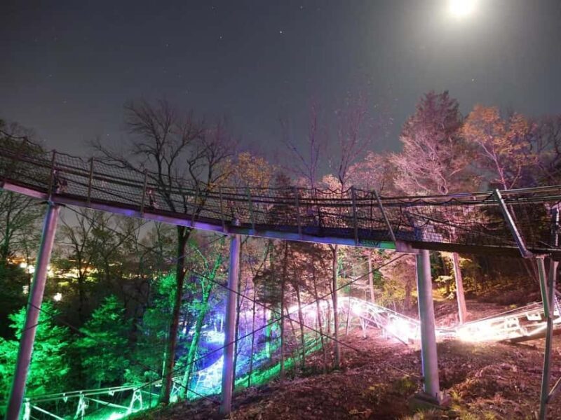 Branson: Thrilling Mountain Coaster Ride - An In-Depth Look at the Branson Mountain Coaster