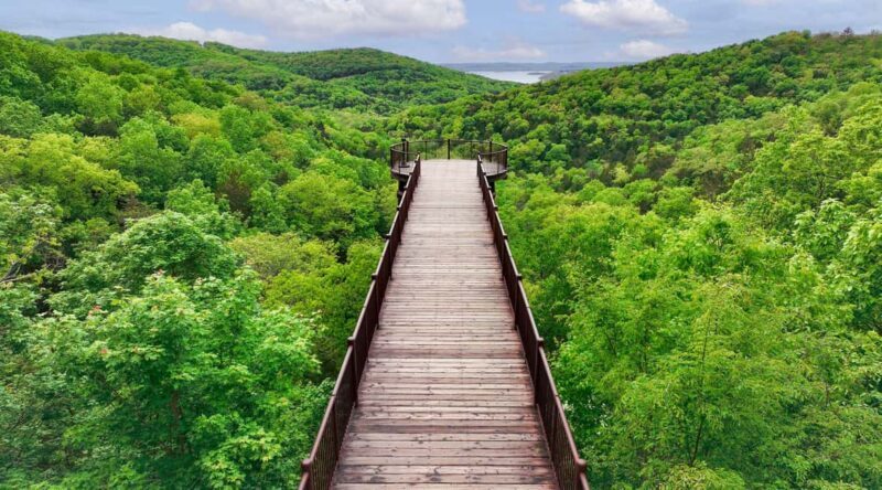 Branson: Top of the Rock Ozarks Heritage Preserve - The Museum: A Treasure Trove of Artifacts