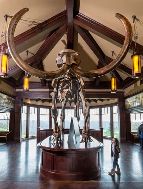Branson: Top of the Rock Ozarks Heritage Preserve - What Visitors Love Most