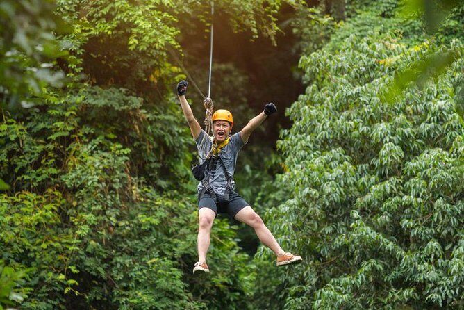 Bransons Best Zipline - Great Woodsman Canopy Tour - Key Points