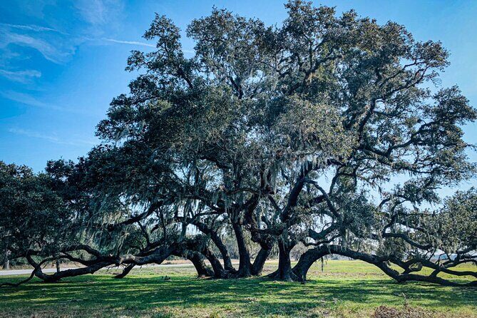 Brazos Bend Wildlife and Nature Tour - Frequently Asked Questions
