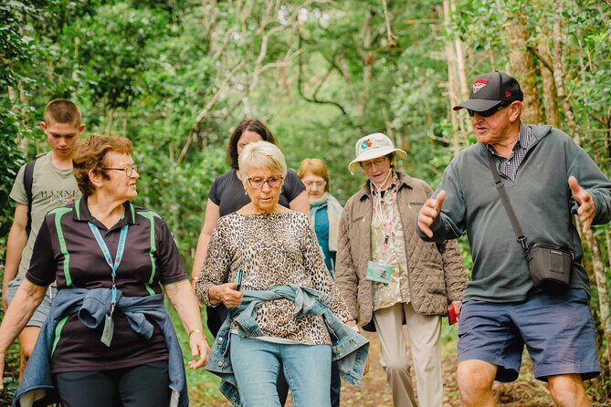 Breakfast Bushwalk & Clifftop BBQ Tour - Key Points