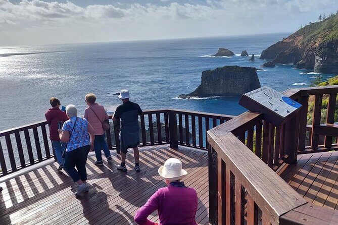 Breakfast Bushwalk & Clifftop BBQ Tour - An In-Depth Look at the Tour Experience
