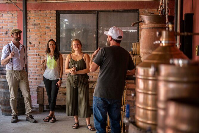 Breakfast & Market Tour in San Luis Potosí with English Guide - A thorough look at the tour experience