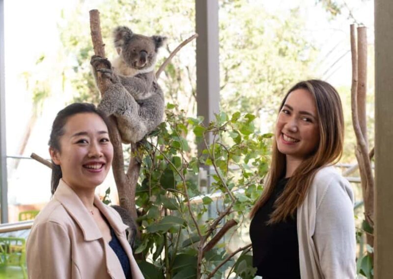 Breakfast with Koalas at WILD LIFE Zoo Darling Harbour - An In-Depth Look at the Experience