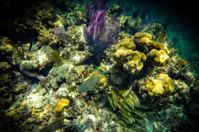 Breathtaking experience driving a speedboat in Cancun with Snorkeling included - Frequently Asked Questions