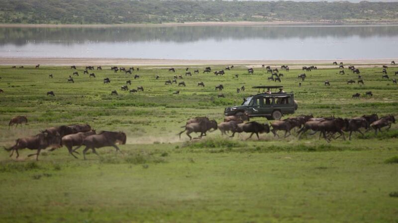 Breathtaking to Lake Manyara National Park Daytrip - Frequently Asked Questions