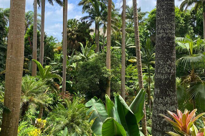 Breathtaking Wonders - Harrisons Cave and Hunte's Gardens - Key Points
