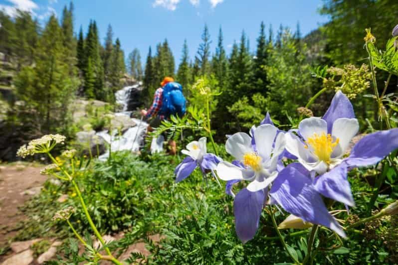Breckenridge, CO: Half-Day Guided Scenic Hike - The Sum Up