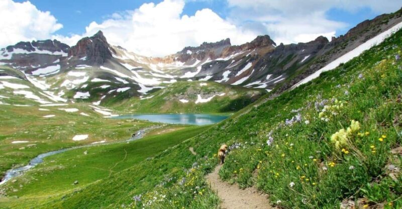 Breckenridge, Colorado: Guided Mountain Hike - Full Day Trek - The Value of Guided Experience in Colorado