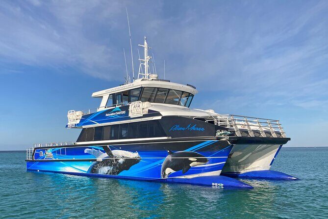 Bremer Canyon Killer Whale (Orca) Expedition - An In-Depth Look at the Bremer Canyon Killer Whale Expedition