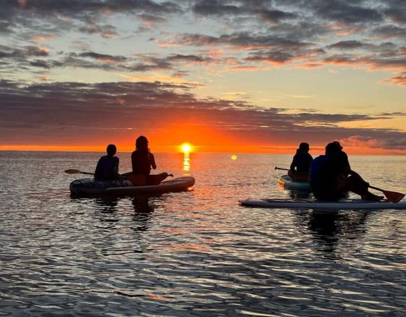 Brentwood Bay: Bioluminescence & Sunset Paddleboard Tour - An In-Depth Review of the Brentwood Bay Bioluminescence Paddleboard Tour