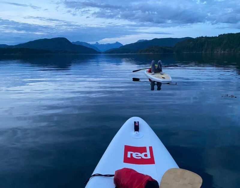 Brentwood Bay: Bioluminescence & Sunset Paddleboard Tour - Final Thoughts
