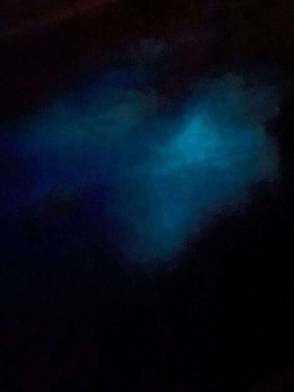 Brentwood Bay: Bioluminescence Tour - A Deep Dive into the Experience