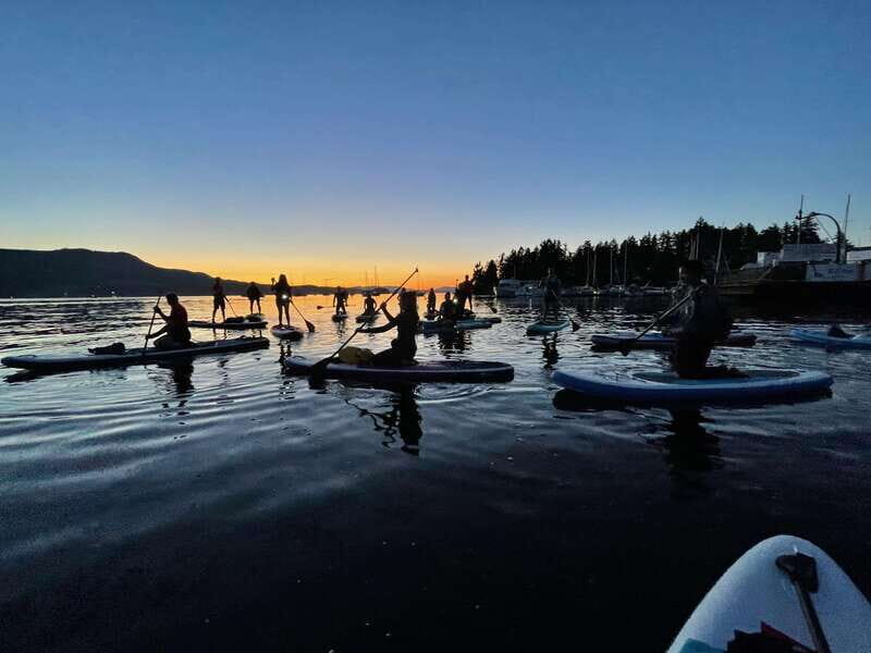 Brentwood Bay: Bioluminescence Tour - The Value of This Unique Experience