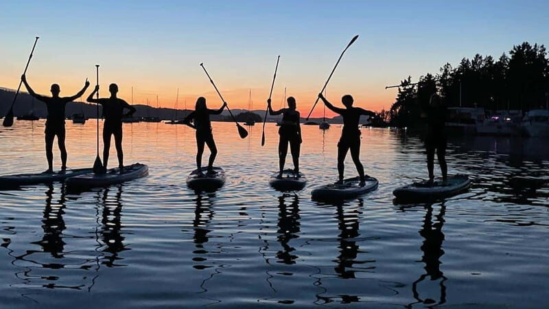 Brentwood Bay: Bioluminescence Tour - Who Will Love This Tour?