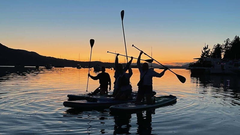 Brentwood Bay: Bioluminescence Tour - Final Thoughts