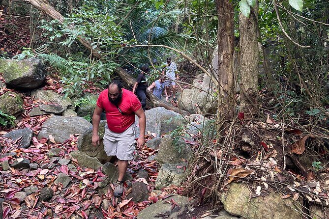 Brewers Bay Eco Hiking Tour - Who Will Love This Tour?