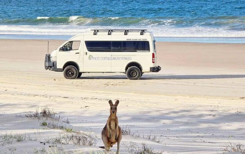 Bribie Island: 4WD, Kayak, and WWII Bunker Tour - Practical Considerations