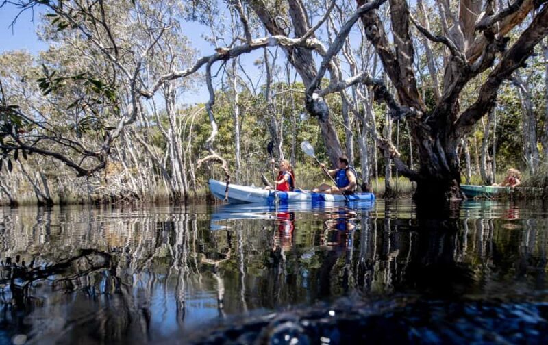Bribie Island: Sea to Table 4WD, Kayak, & Seafood Lunch Tour - The Sum Up
