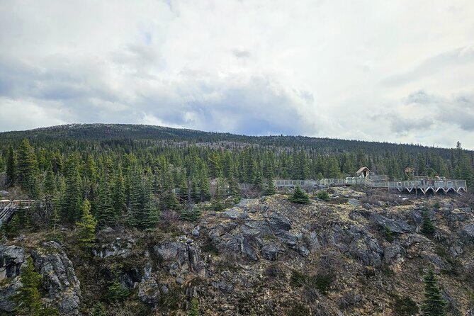 Bridge, Puppies, and Summit Triple Combo in Skagway - Analyzing the Experience: What You Can Expect