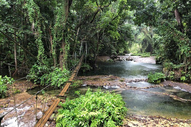 Bridges of Eden with Yumi Tours - The Journey to Eden on the River