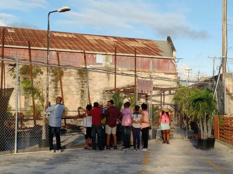 Bridgetown: A Guided Walking Tour of The History of a City - A Closer Look at the Tour Itinerary