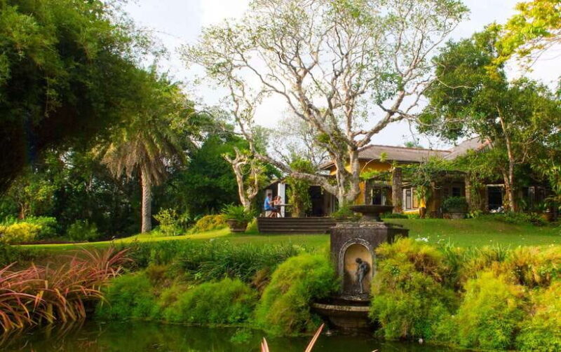 Brief Garden: The Artistic Legacy of Bevis Bawa - Key Points