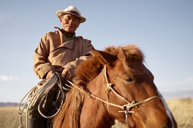 Brief Introduction to Mongol Horse - Exploring the Tour: A Full Breakdown