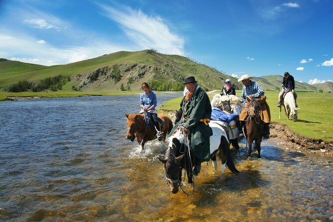 Brief Introduction to Mongol Horse - FAQ