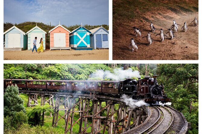 Brighton Bath Boxes & Puffing Billy & Penguin Parade 1-Day Tour - Introduction: A Day of Iconic Melbourne Experiences