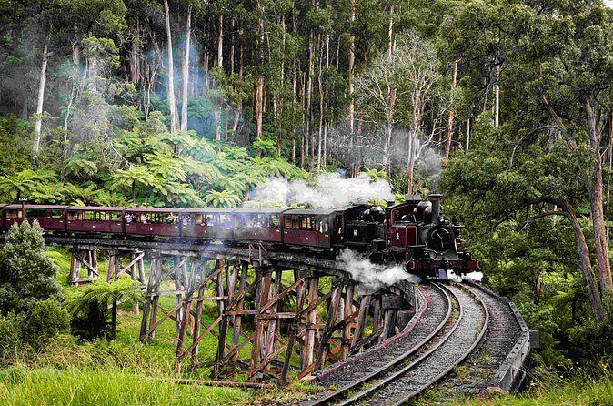 Brighton Bath Boxes & Puffing Billy & Penguin Parade 1-Day Tour - Who Would Love This Tour?