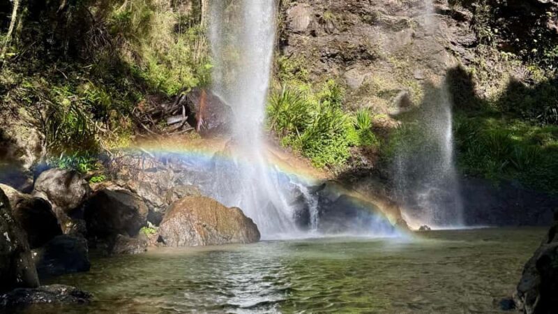 Brisbane: 6 Waterfalls, Koalas & Natural Bridge Day Tour - FAQ