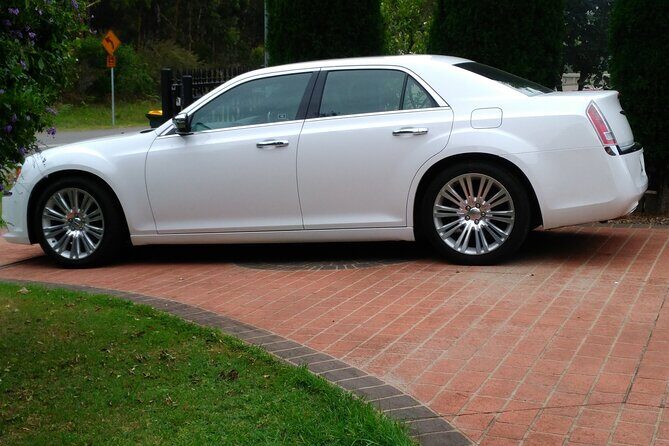 Brisbane Airport (BNE) to Brisbane - Arrival Private Transfer - Who Is This Transfer Best For?