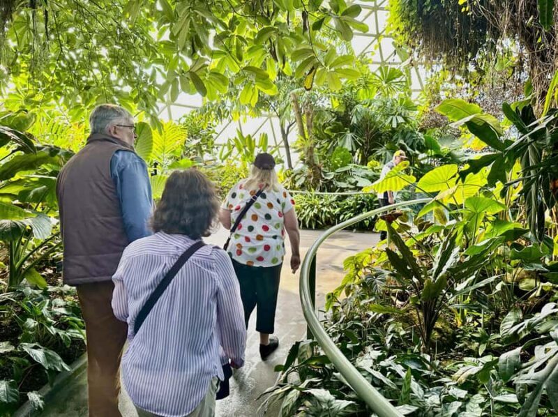 Brisbane Bus Tour: City highlights & Mt Coot-tha Lookout - Who Will Love This Tour?